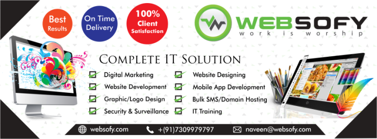 Websofy Software Pvt Ltd